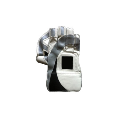 sns-professional-wicket-keeping