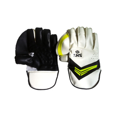 sns-training-wicket-keeping